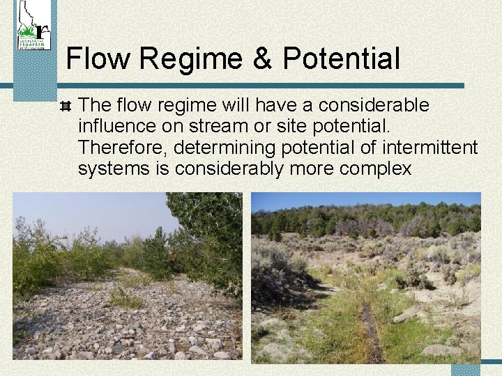 Flow Regime & Potential The flow regime will have a considerable influence on stream