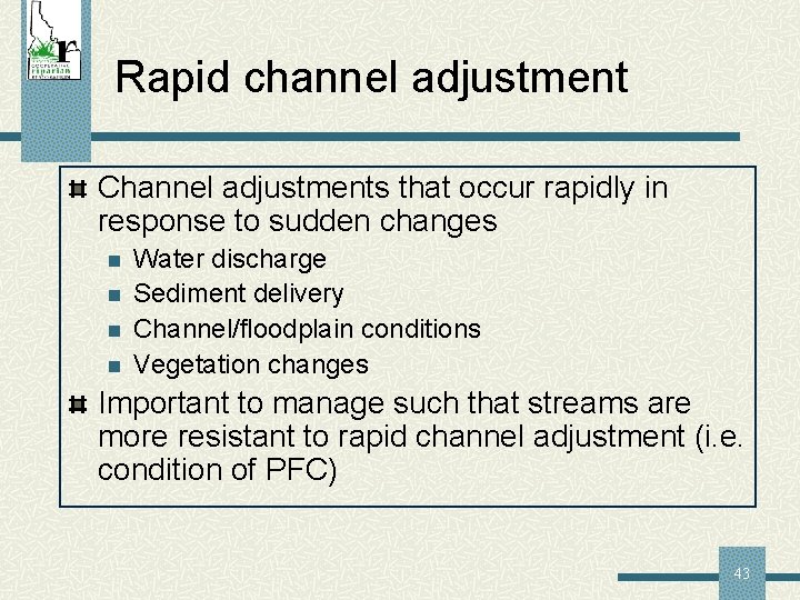 Rapid channel adjustment Channel adjustments that occur rapidly in response to sudden changes n