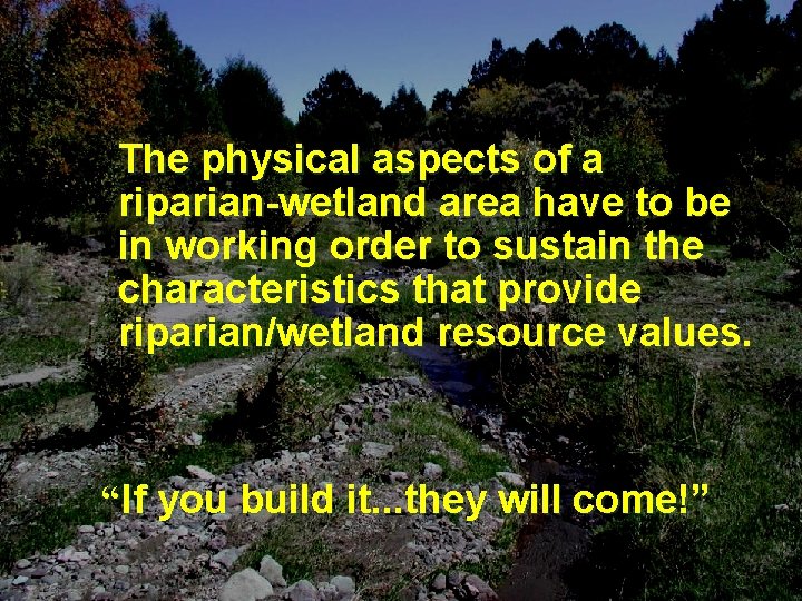The physical aspects of a riparian-wetland area have to be in working order to