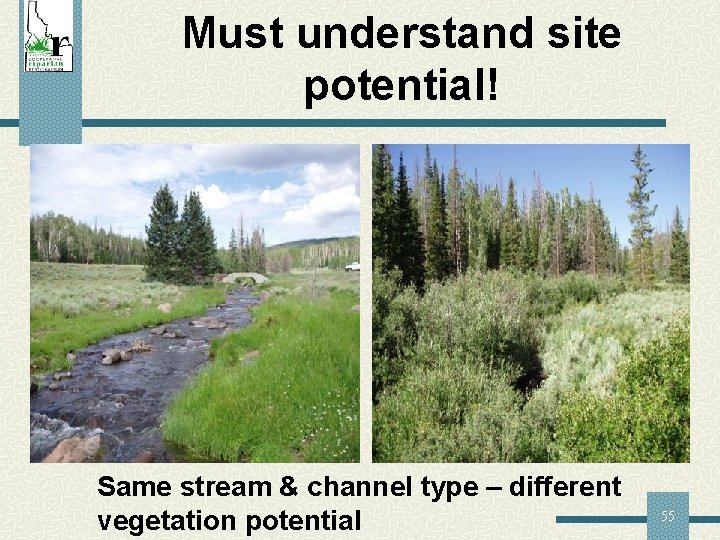 Must understand site potential! Same stream & channel type – different vegetation potential 55