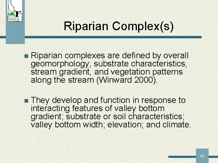 Riparian Complex(s) n Riparian complexes are defined by overall geomorphology, substrate characteristics, stream gradient,