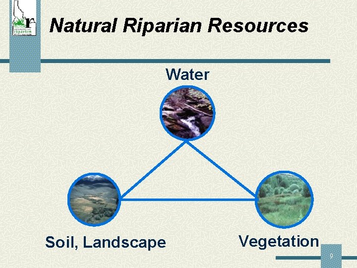 Natural Riparian Resources Water Soil, Landscape Vegetation 9 