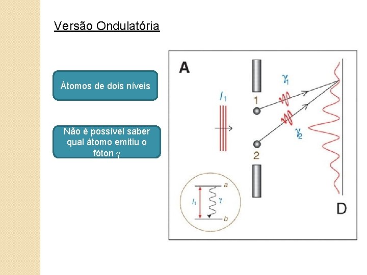 Versão Ondulatória Átomos de dois níveis Não é possível saber qual átomo emitiu o