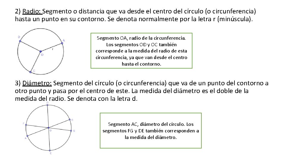 2) Radio: Segmento o distancia que va desde el centro del círculo (o circunferencia)