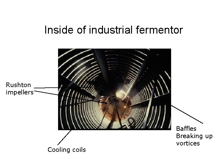 Inside of industrial fermentor Rushton impellers Cooling coils Baffles Breaking up vortices 