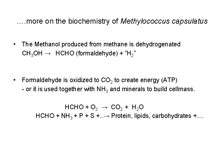 …. more on the biochemistry of Methylococcus capsulatus • The Methanol produced from methane