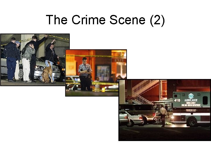 The Crime Scene (2) • Old Crime 