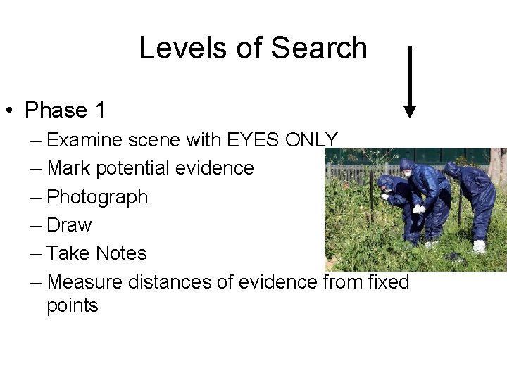 Levels of Search • Phase 1 – Examine scene with EYES ONLY – Mark