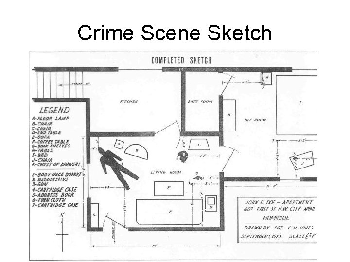 Crime Scene Sketch 