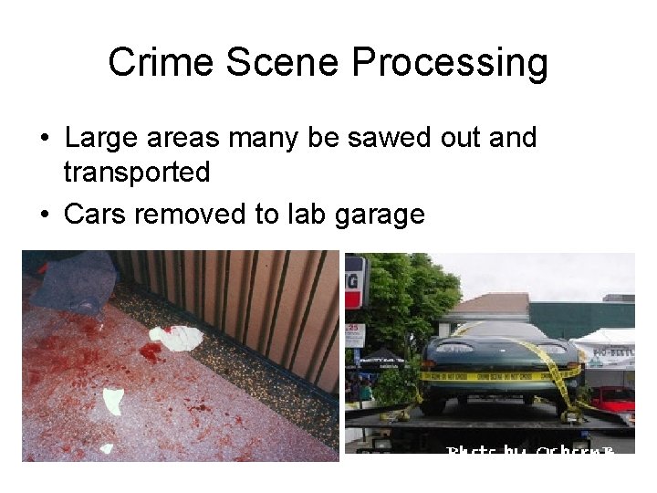 Crime Scene Processing • Large areas many be sawed out and transported • Cars