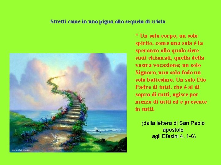 Stretti come in una pigna alla sequela di cristo “ Un solo corpo, un