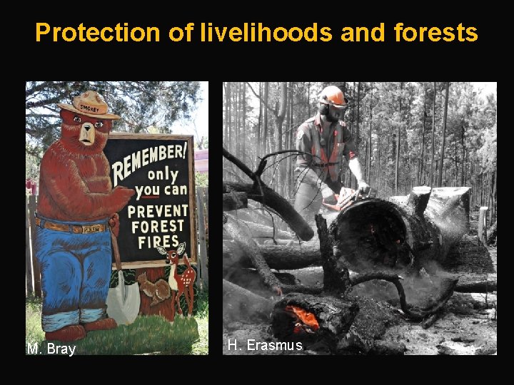 Protection of livelihoods and forests M. Bray H. Erasmus 