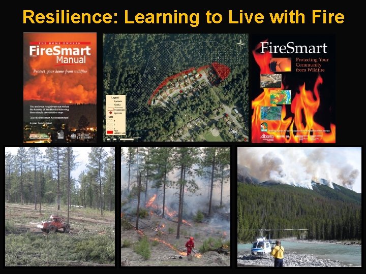 Resilience: Learning to Live with Fire 