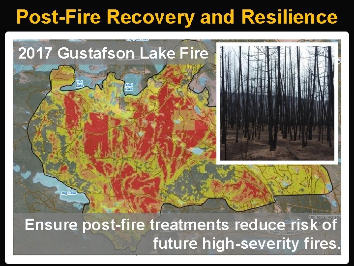 Post-Fire Recovery and Resilience 2017 Gustafson Lake Fire Ensure post-fire treatments reduce risk of