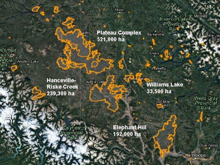 Plateau Complex 521, 000 ha Hanceville. Riske Creek 239, 300 ha Williams Lake 33,