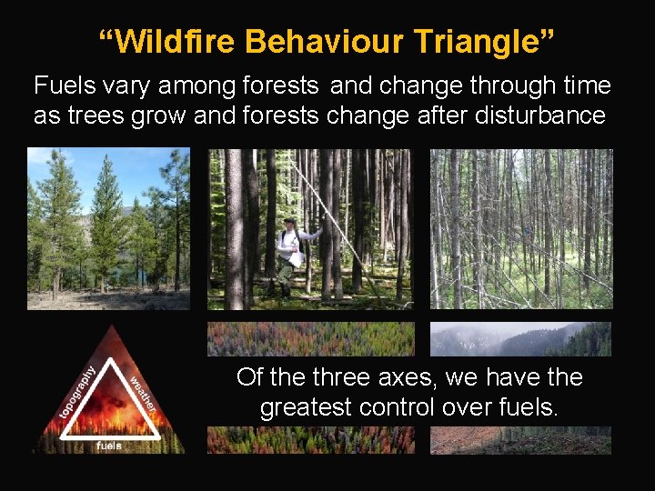 “Wildfire Behaviour Triangle” Fuels vary among forests and change through time as trees grow