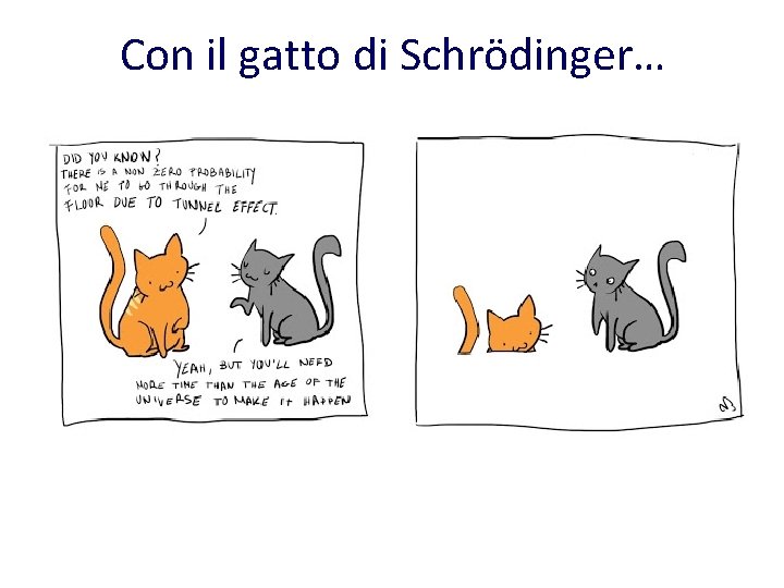 Con il gatto di Schrödinger… 