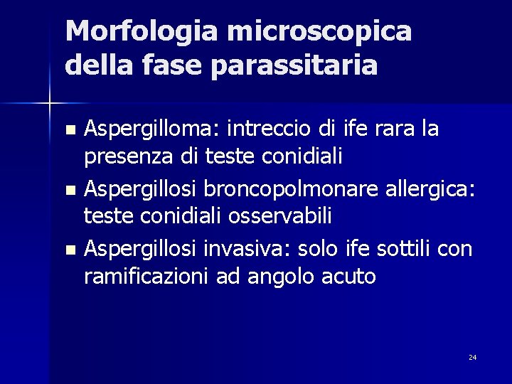 Morfologia microscopica della fase parassitaria Aspergilloma: intreccio di ife rara la presenza di teste