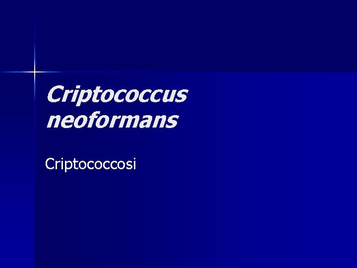 Criptococcus neoformans Criptococcosi 