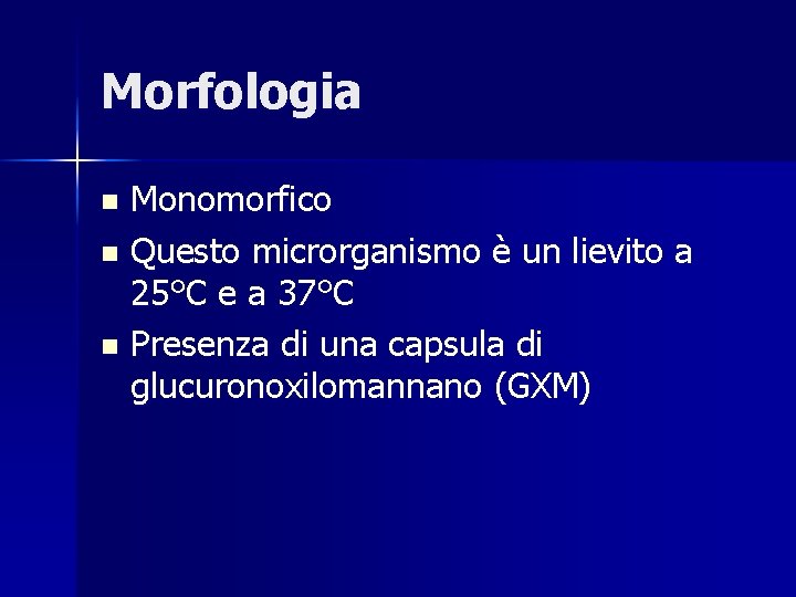 Morfologia Monomorfico n Questo microrganismo è un lievito a 25°C e a 37°C n
