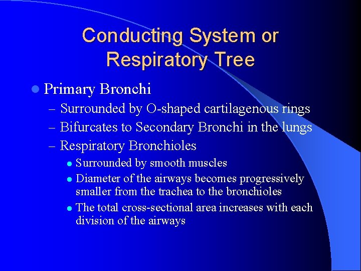 Conducting System or Respiratory Tree l Primary Bronchi – Surrounded by O-shaped cartilagenous rings