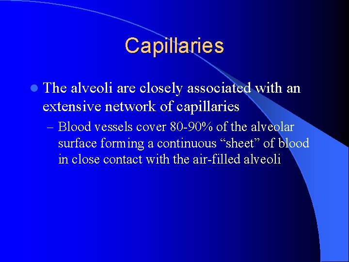 Capillaries l The alveoli are closely associated with an extensive network of capillaries –