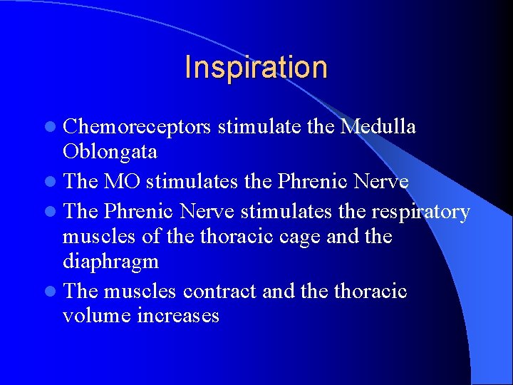 Inspiration l Chemoreceptors stimulate the Medulla Oblongata l The MO stimulates the Phrenic Nerve