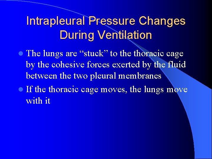 Intrapleural Pressure Changes During Ventilation l The lungs are “stuck” to the thoracic cage