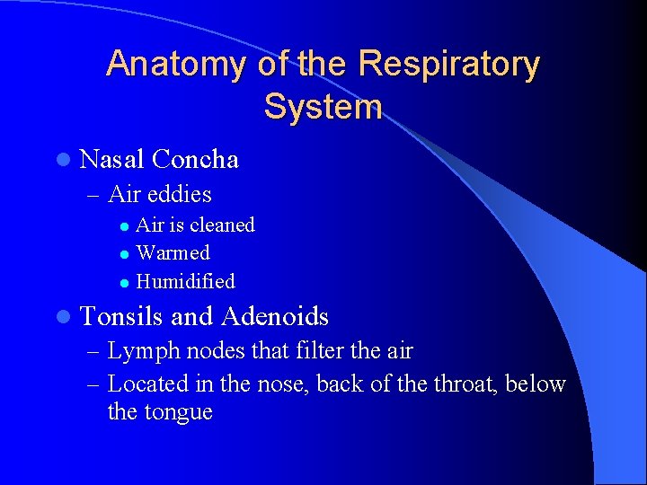 Anatomy of the Respiratory System l Nasal Concha – Air eddies Air is cleaned