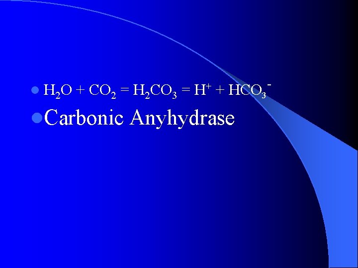 l H 2 O + CO 2 = H 2 CO 3 = H+