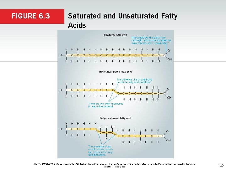 FIGURE 6. 3 Saturated and Unsaturated Fatty Acids Copyright © 2016 Cengage Learning. All