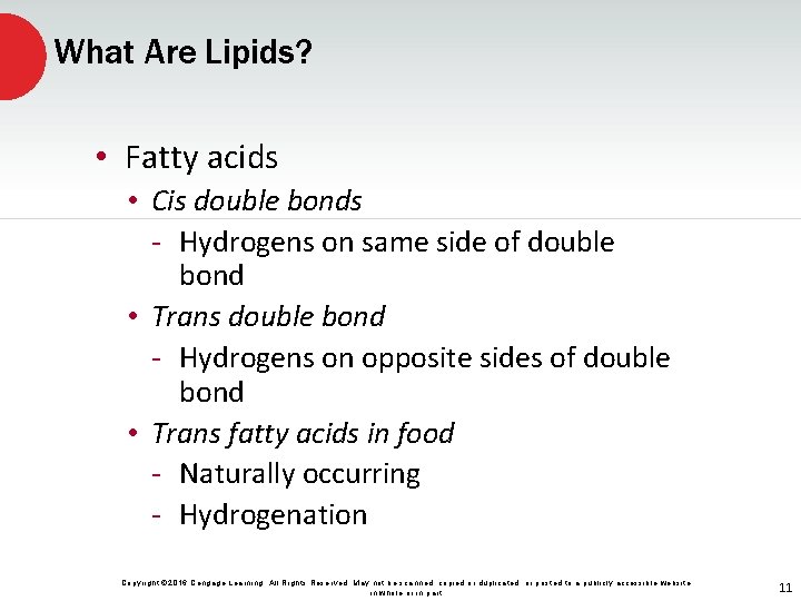 What Are Lipids? • Fatty acids • Cis double bonds - Hydrogens on same