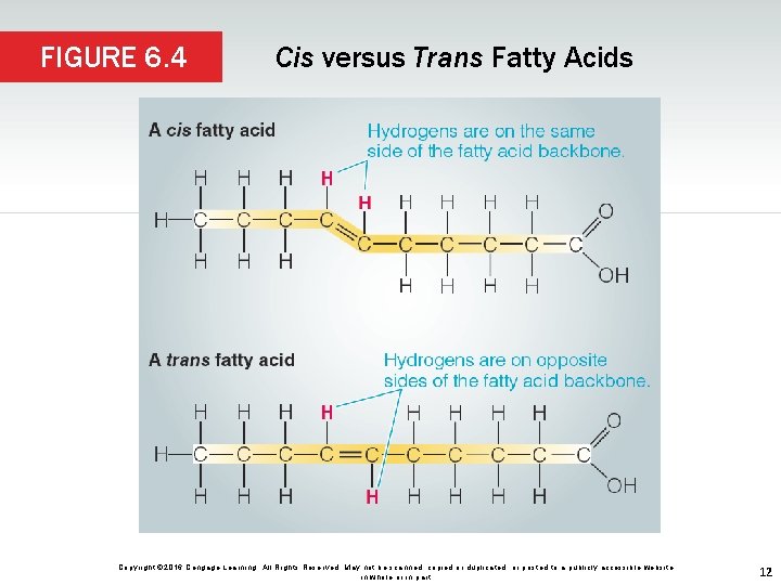 FIGURE 6. 4 Cis versus Trans Fatty Acids Copyright © 2016 Cengage Learning. All