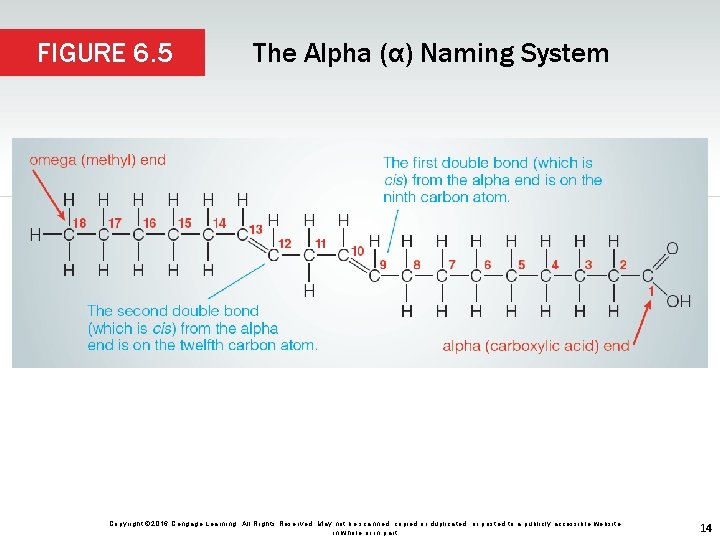 FIGURE 6. 5 The Alpha (α) Naming System Copyright © 2016 Cengage Learning. All