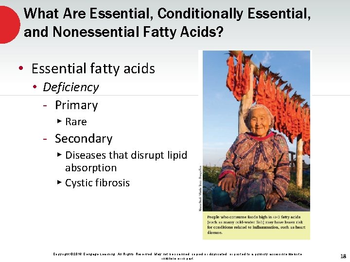 What Are Essential, Conditionally Essential, and Nonessential Fatty Acids? • Essential fatty acids •