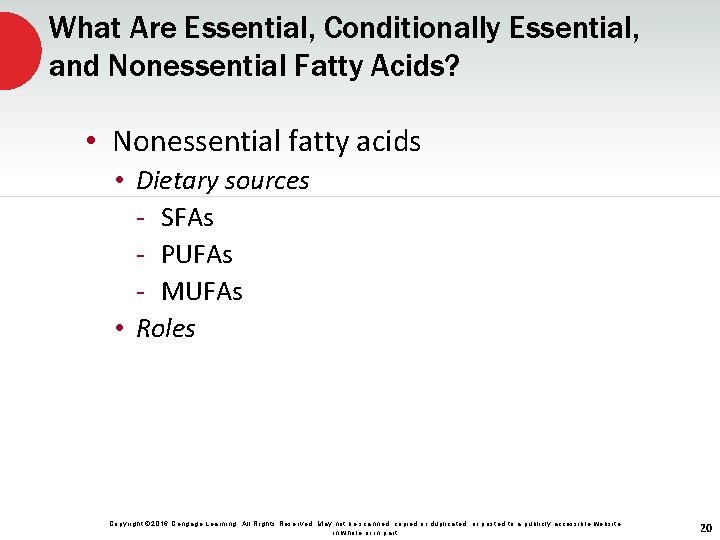 What Are Essential, Conditionally Essential, and Nonessential Fatty Acids? • Nonessential fatty acids •