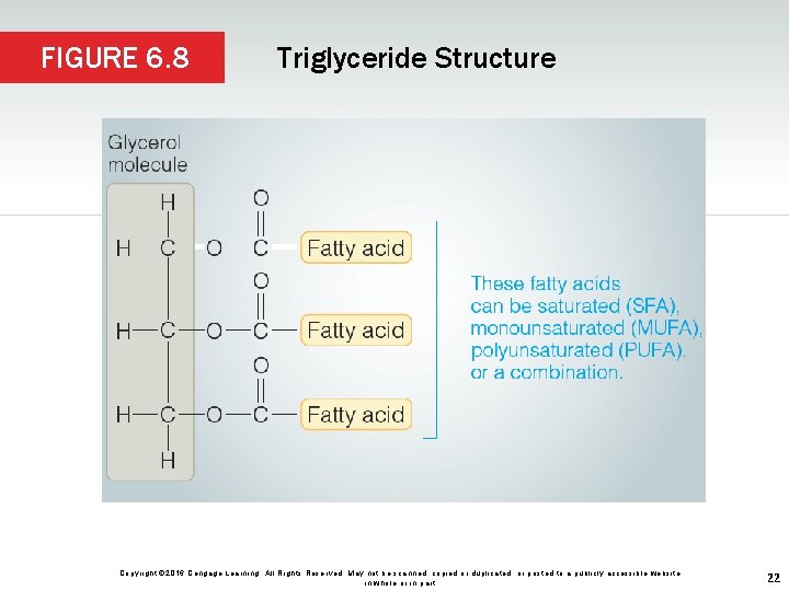 FIGURE 6. 8 Triglyceride Structure Copyright © 2016 Cengage Learning. All Rights Reserved. May