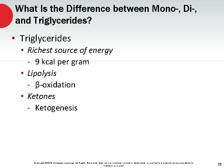 What Is the Difference between Mono-, Di-, and Triglycerides? • Triglycerides • Richest source