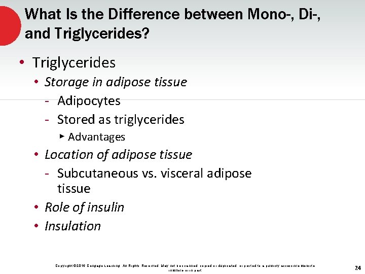 What Is the Difference between Mono-, Di-, and Triglycerides? • Triglycerides • Storage in