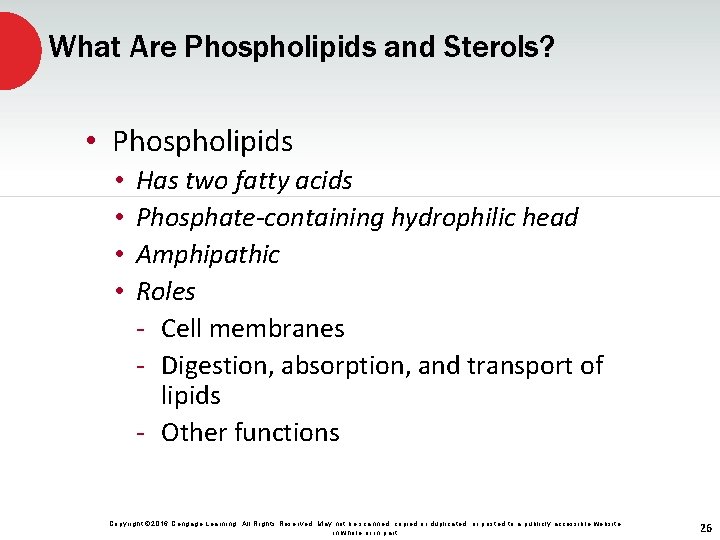 What Are Phospholipids and Sterols? • Phospholipids • • Has two fatty acids Phosphate-containing