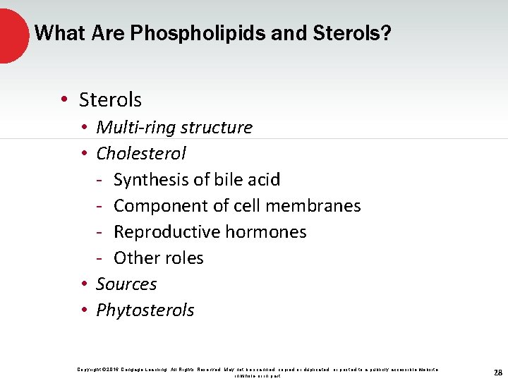 What Are Phospholipids and Sterols? • Sterols • Multi-ring structure • Cholesterol - Synthesis