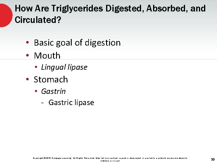 How Are Triglycerides Digested, Absorbed, and Circulated? • Basic goal of digestion • Mouth