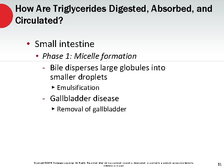 How Are Triglycerides Digested, Absorbed, and Circulated? • Small intestine • Phase 1: Micelle