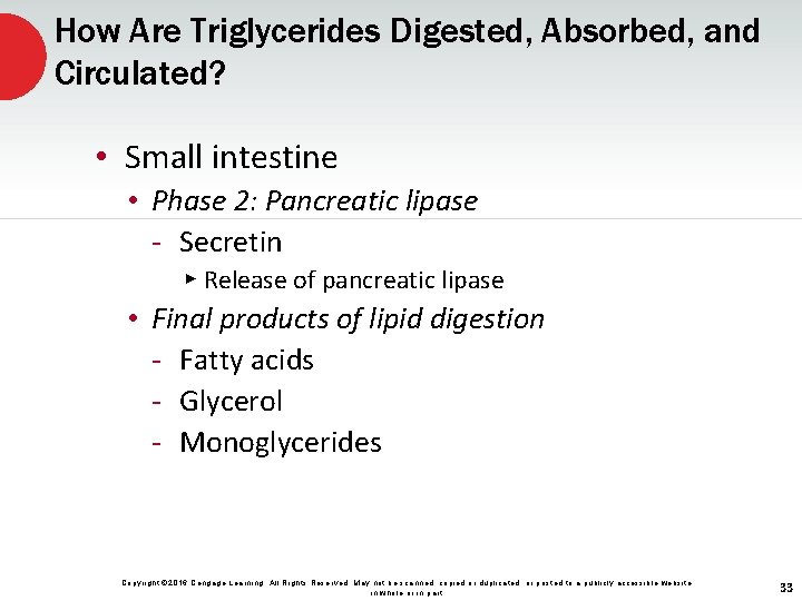 How Are Triglycerides Digested, Absorbed, and Circulated? • Small intestine • Phase 2: Pancreatic