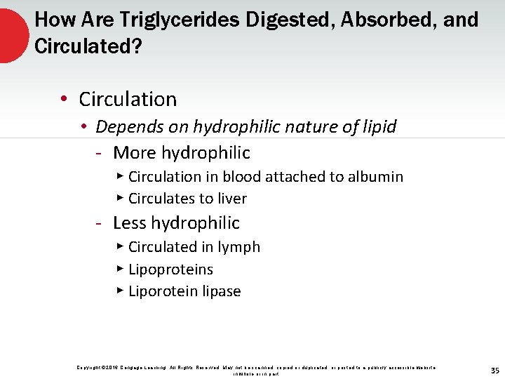 How Are Triglycerides Digested, Absorbed, and Circulated? • Circulation • Depends on hydrophilic nature