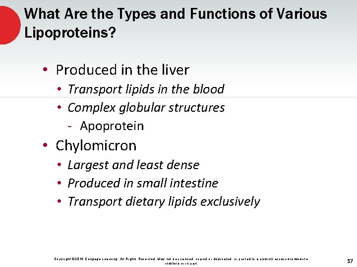 What Are the Types and Functions of Various Lipoproteins? • Produced in the liver