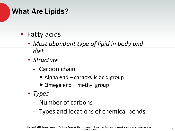 What Are Lipids? • Fatty acids • Most abundant type of lipid in body