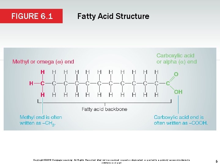 FIGURE 6. 1 Fatty Acid Structure Copyright © 2016 Cengage Learning. All Rights Reserved.