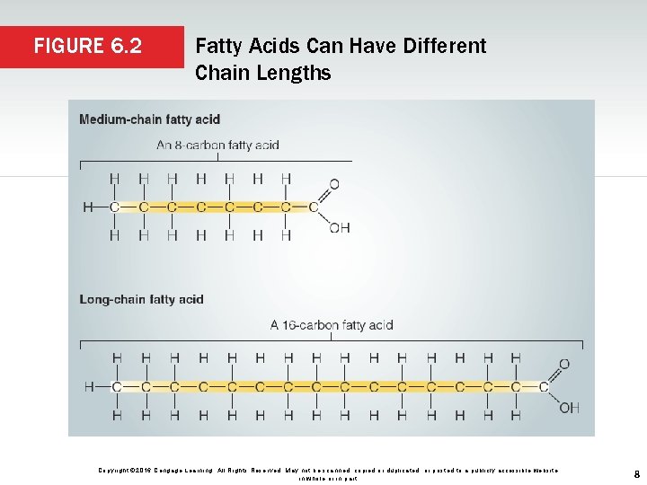 FIGURE 6. 2 Fatty Acids Can Have Different Chain Lengths Copyright © 2016 Cengage