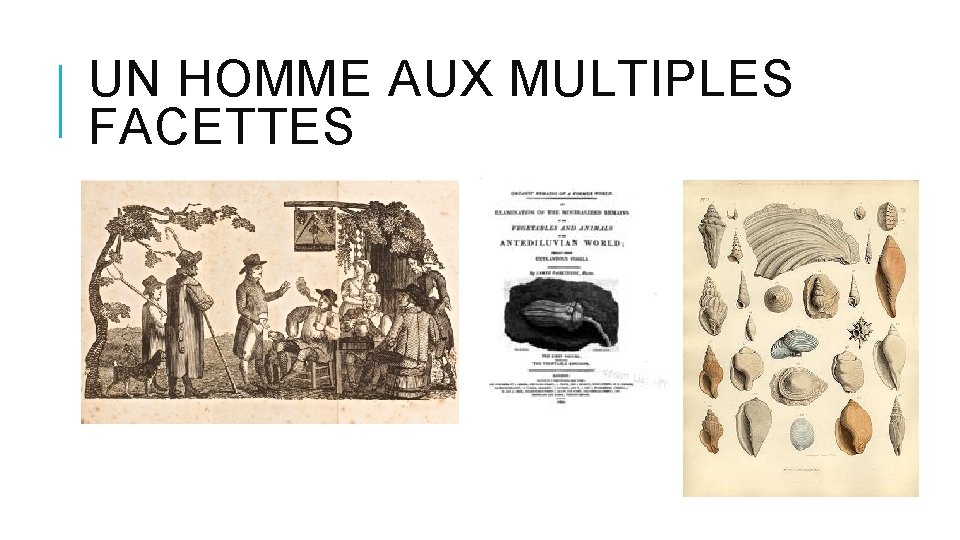 UN HOMME AUX MULTIPLES FACETTES UN HOMME AUX MULTIPLES FACETTES